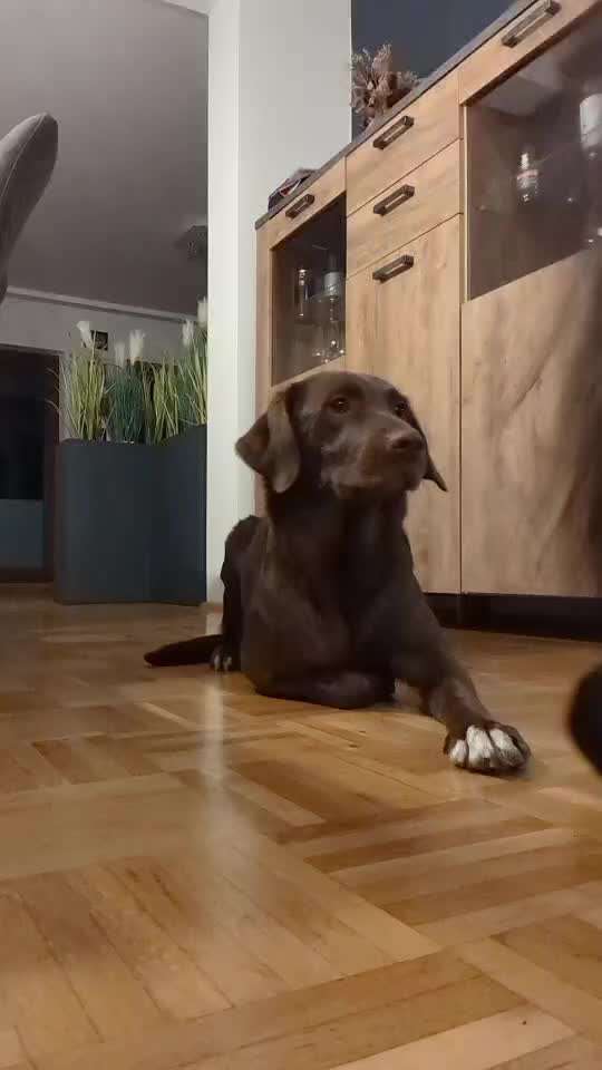 Veteranenzone - Koffer packen für fortgeschrittene-Beitrag-Bild