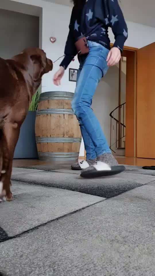 Trick Challenge 24 ,,Elefantentrick"-Beitrag-Bild