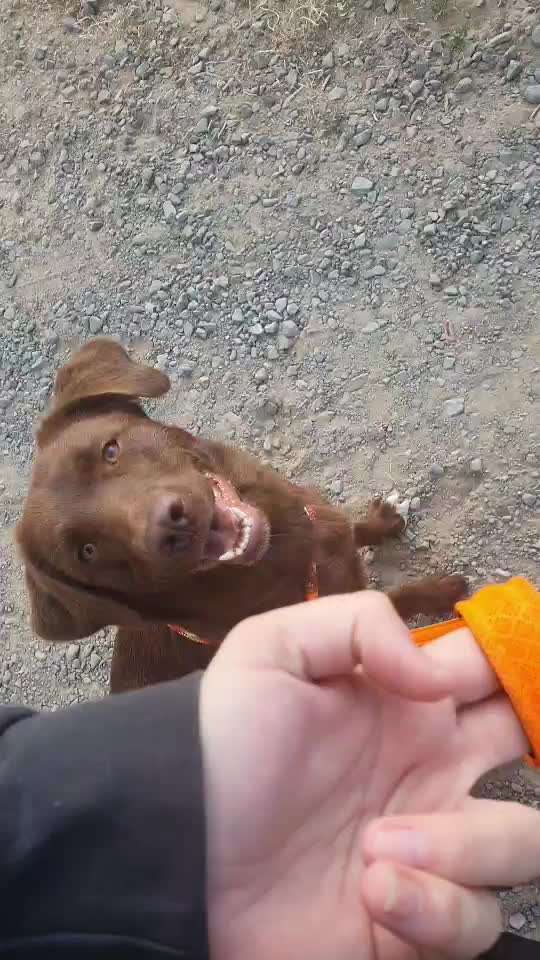 Ein Finger challenge-Beitrag-Bild