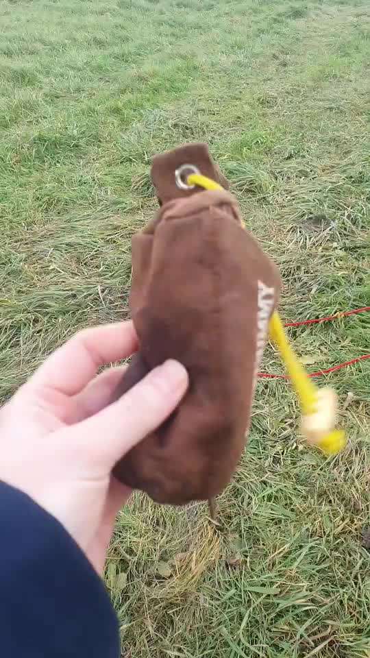 Impulskontrolle Challenge NR .4.           STOP/STEH/ WARTE-Beitrag-Bild