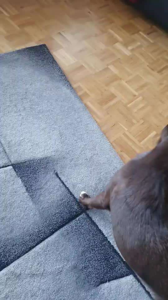 Trick Challenge ABC-Beitrag-Bild