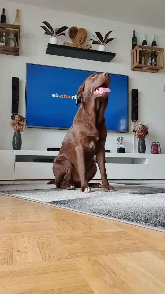 Trick Challenge Nr. 12-Beitrag-Bild