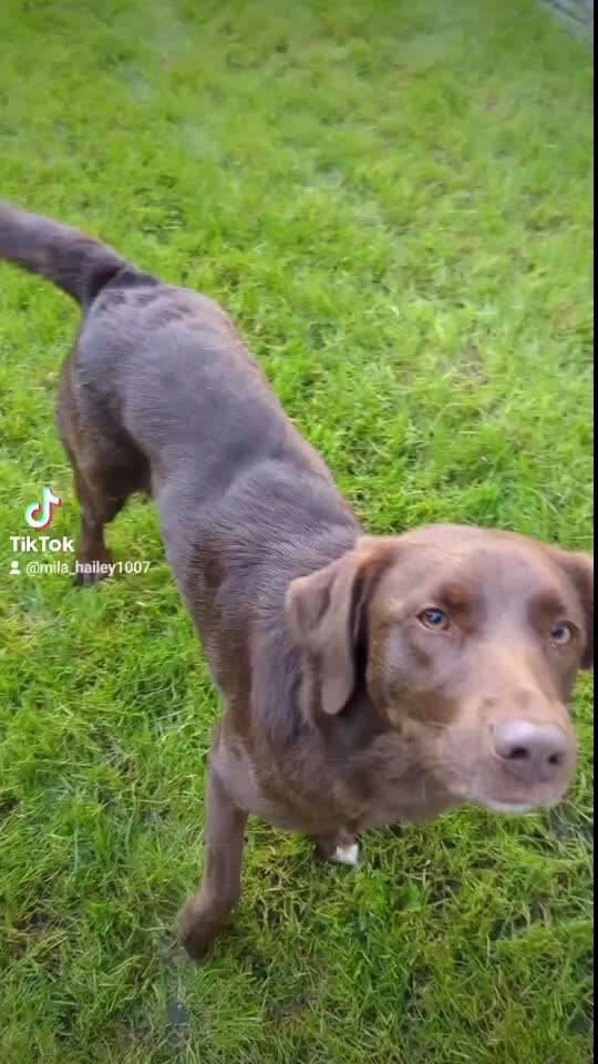 Veteranenzone - Koffer packen für fortgeschrittene-Beitrag-Bild