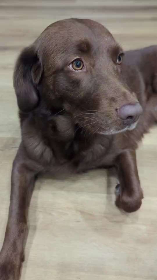 Trick Spiel - Koffer packen -der 22.-Beitrag-Bild