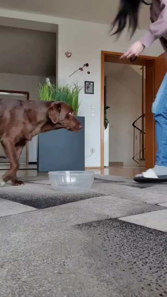 Trick Challenge ABC-Beitrag-Bild