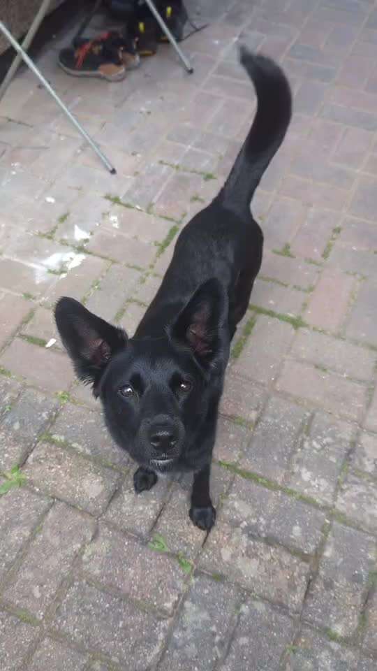 Trick Spiel - Koffer Packen - der 21.-Beitrag-Bild