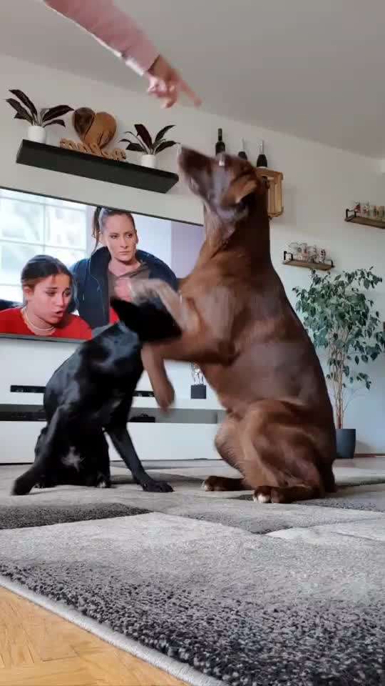 Trick Challenge Nr. 12-Beitrag-Bild