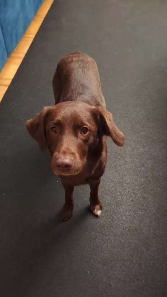 Trick Spiel - Koffer packen - der 14.-Beitrag-Bild