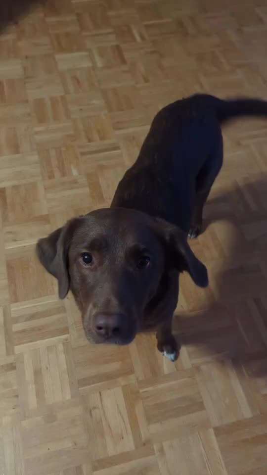 Trickchallenge - ich packe meinen 6. Koffer-Beitrag-Bild