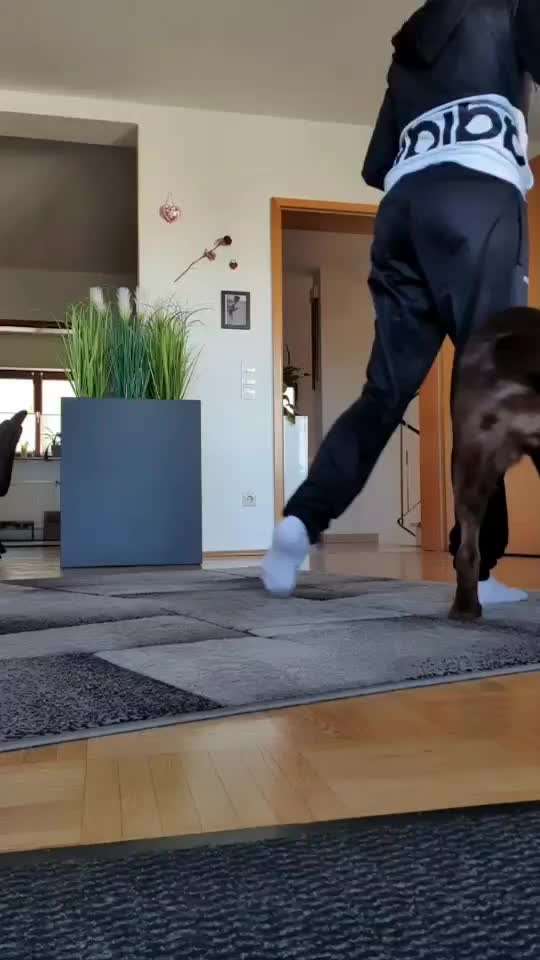 Trick Challenge Nr. 28: Slalom rückwärts-Beitrag-Bild