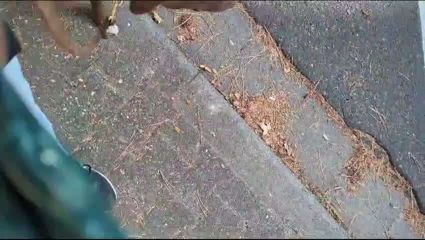 29. Impulskontrolle Übung: Leinen los!-Beitrag-Bild