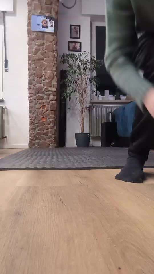 64. gemeinsames Trick-Training: Blickkontakt oder "Schau mir in die Augen, Kleines"-Beitrag-Bild