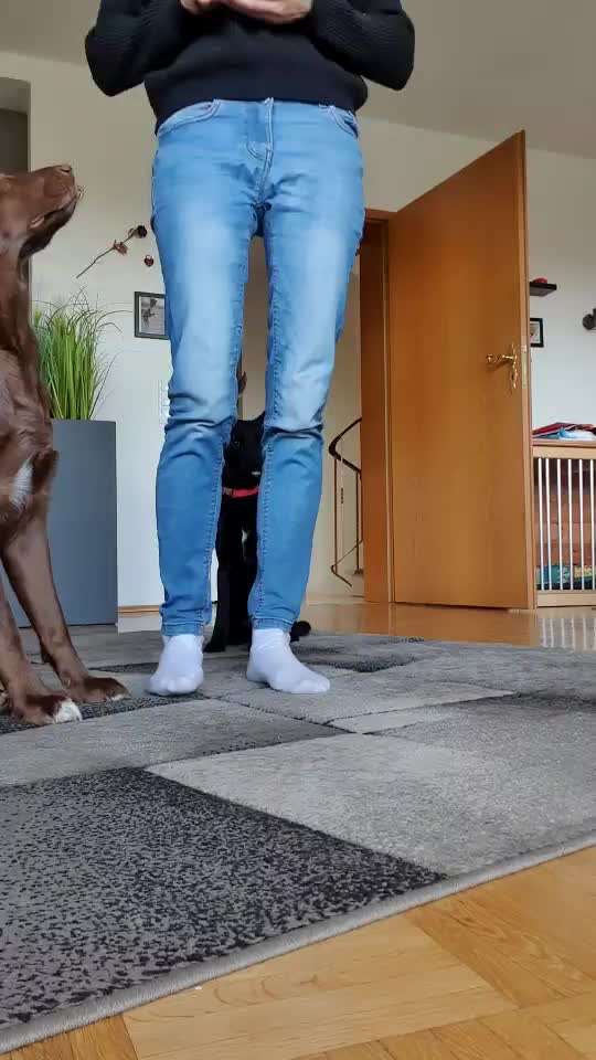 Trick Challenge Nr. 29 ,,TWIST"-Beitrag-Bild