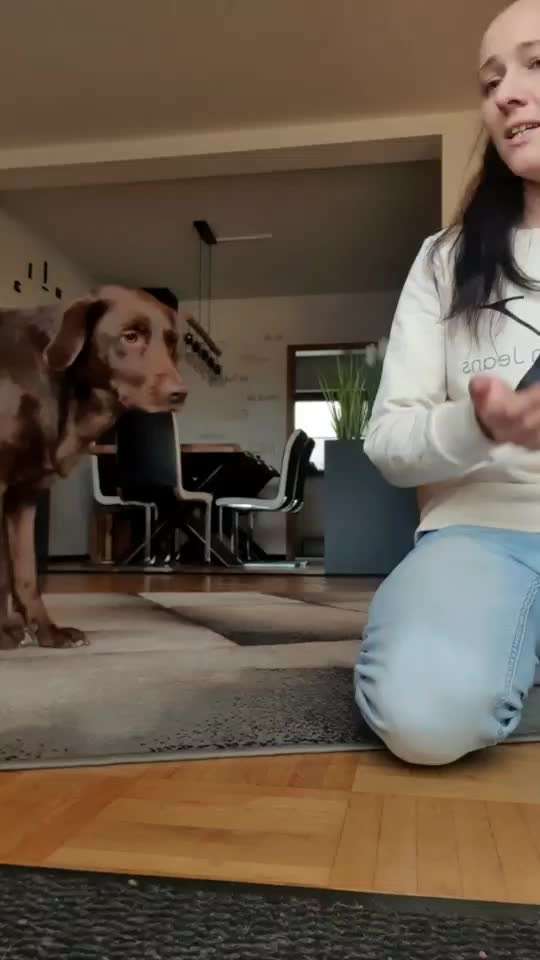 Trick Challenge ABC-Beitrag-Bild