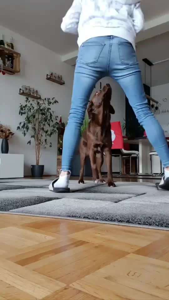 Trick Challenge ABC-Beitrag-Bild