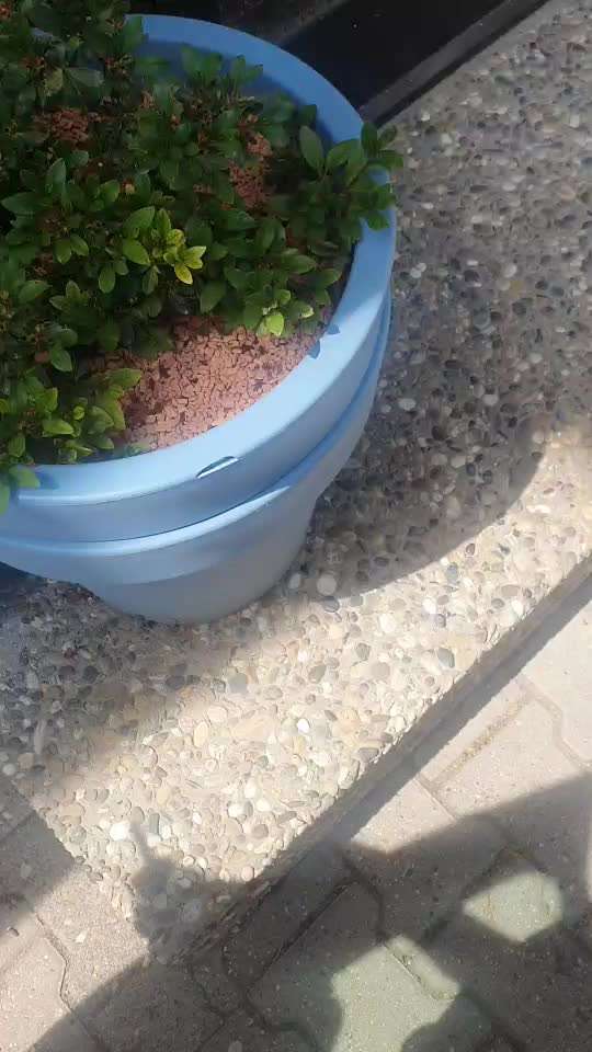 Impulskontrolle-Challenge Nr. 12: 
Begrüßungen-Beitrag-Bild