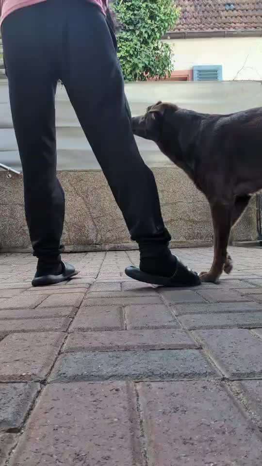 76. Trickspiel/-challenge whatever: Go in-Beitrag-Bild