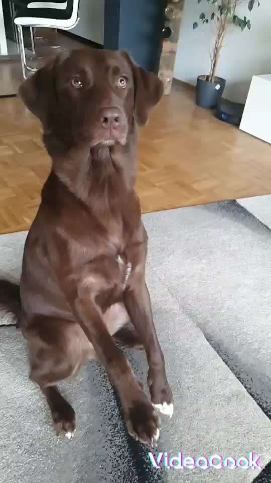 Trick Challenge ABC-Beitrag-Bild