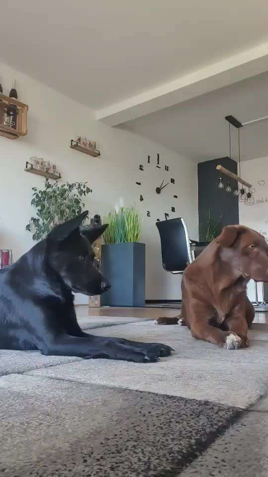 Trick Challenge Nr. 14-Beitrag-Bild