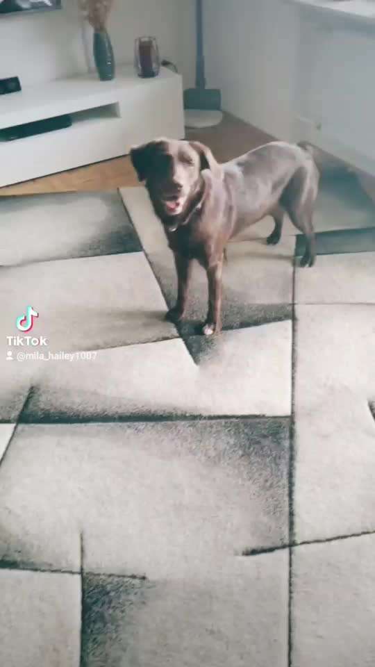 Trick Challenge ABC-Beitrag-Bild