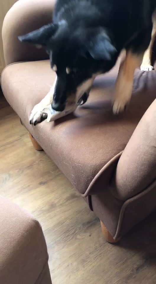 Seniorenbeschäftigung-Beitrag-Bild