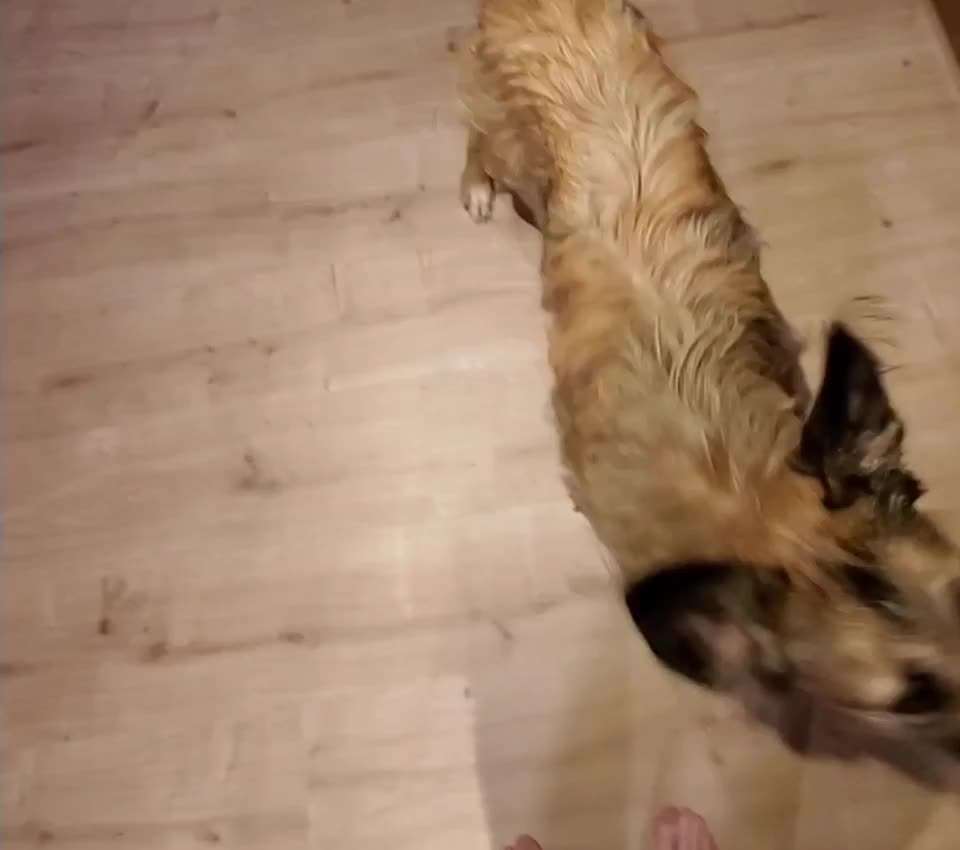 Trick Challenge ABC-Beitrag-Bild