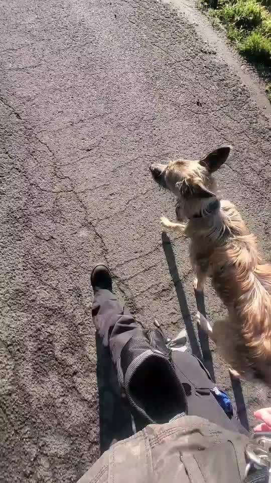 Trick Challenge ABC-Beitrag-Bild