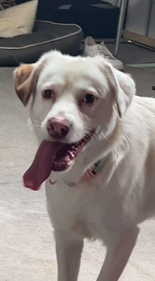 Lustige Grimassen & verrückte Posen-Beitrag-Bild