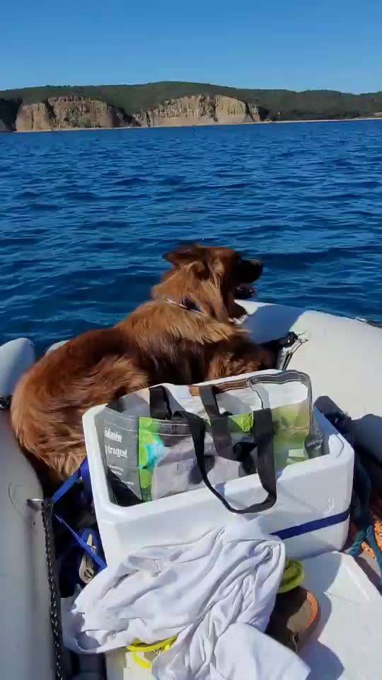 Was macht ihr am liebsten?-Beitrag-Bild