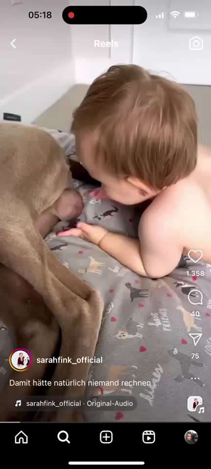 Hund und Kind alleine lassen-Beitrag-Bild