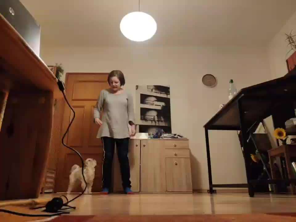 Trick Challenge Nr 6-Beitrag-Bild
