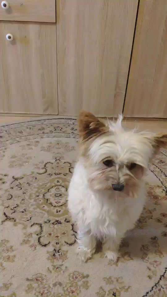 𝕋ℝ𝕀ℂ𝕂 ℂℍ𝔸𝕃𝕃𝔼ℕ𝔾𝔼 ℕℝ. 𝟙-Beitrag-Bild