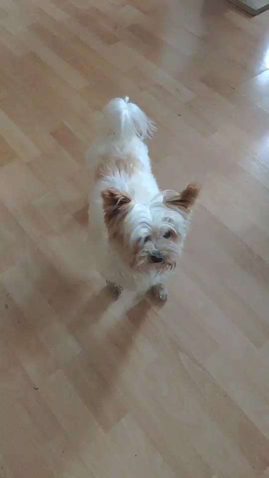 Trick Challange Nr 3-Beitrag-Bild