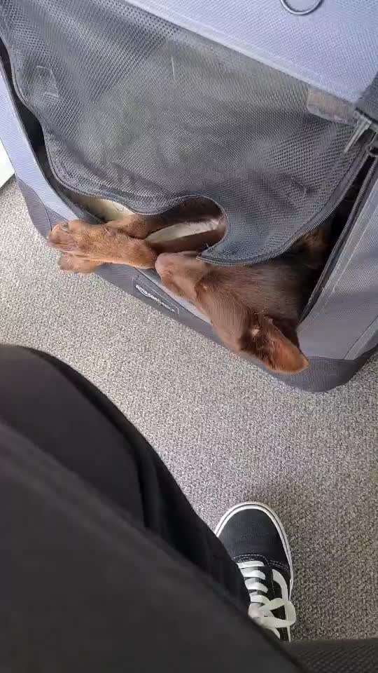 Zeigt her...-Beitrag-Bild