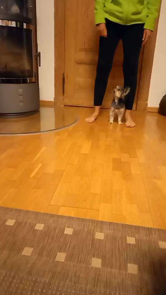 Trickchallenge - ich packe meinen 5. Koffer-Beitrag-Bild