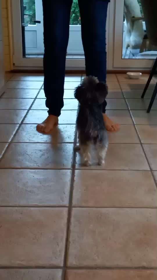 76. Trickspiel/-challenge whatever: Go in-Beitrag-Bild