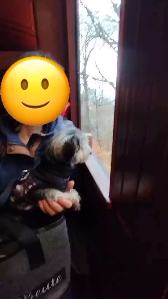 34. Impulskontrollübung "Ruhe an fremden Orten"-Beitrag-Bild