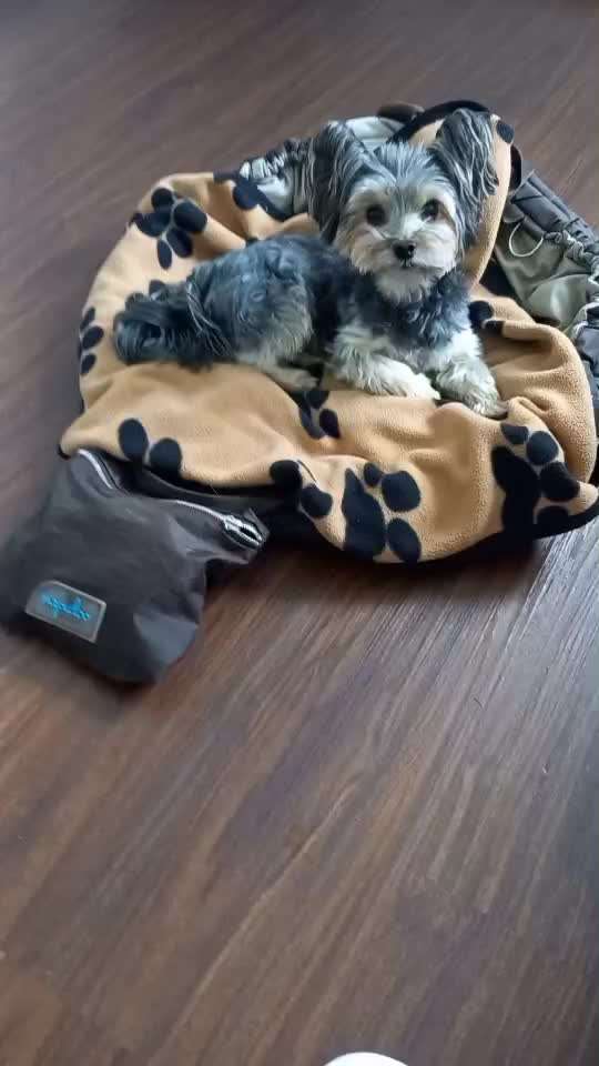 48. Papiertücher ziehen und bringen-Beitrag-Bild