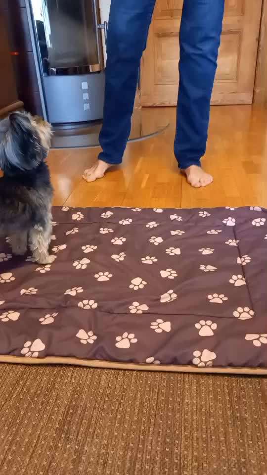 Trickchallenge - ich packe meinen 6. Koffer-Beitrag-Bild