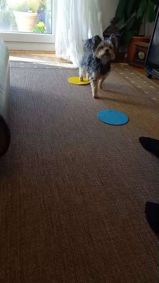 Trickchallenge Nr.86: Spiegelbild-Beitrag-Bild