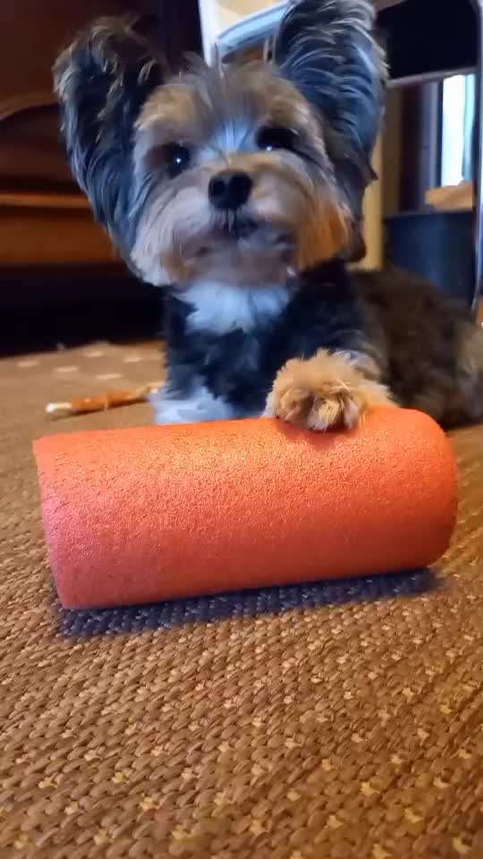 21. Kurzgeschichten Challenge - Urlaubserlebnisse-Beitrag-Bild