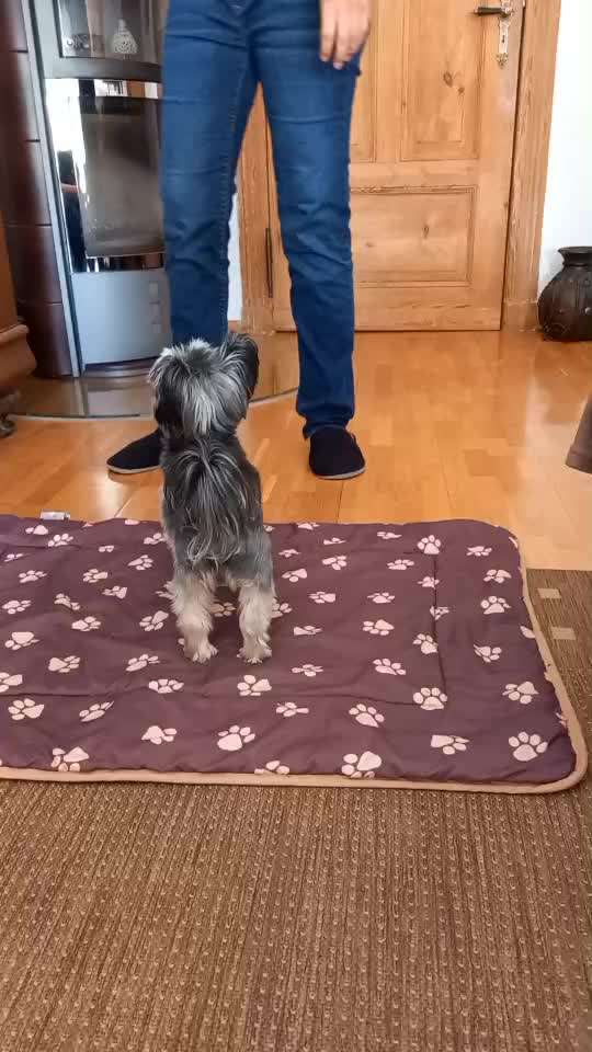 Trickchallenge - ich packe meinen 6. Koffer-Beitrag-Bild