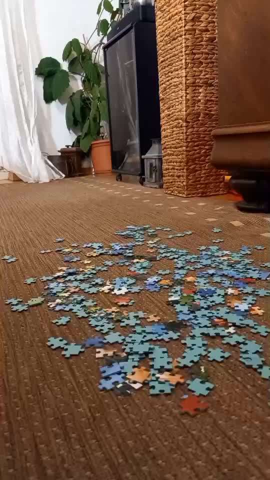 aktuelles Foto Gruppe Schnüffel & Kopfarbeit Ideen