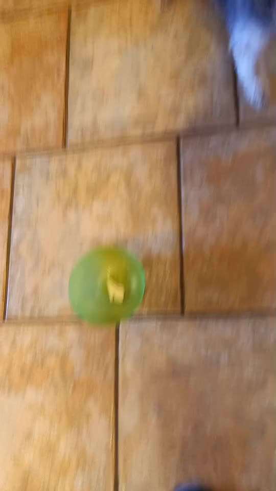 Impulskontrolle Challenge Nr. 21: Minenfeld-Beitrag-Bild