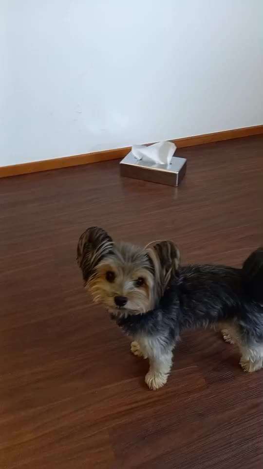 48. Papiertücher ziehen und bringen-Beitrag-Bild