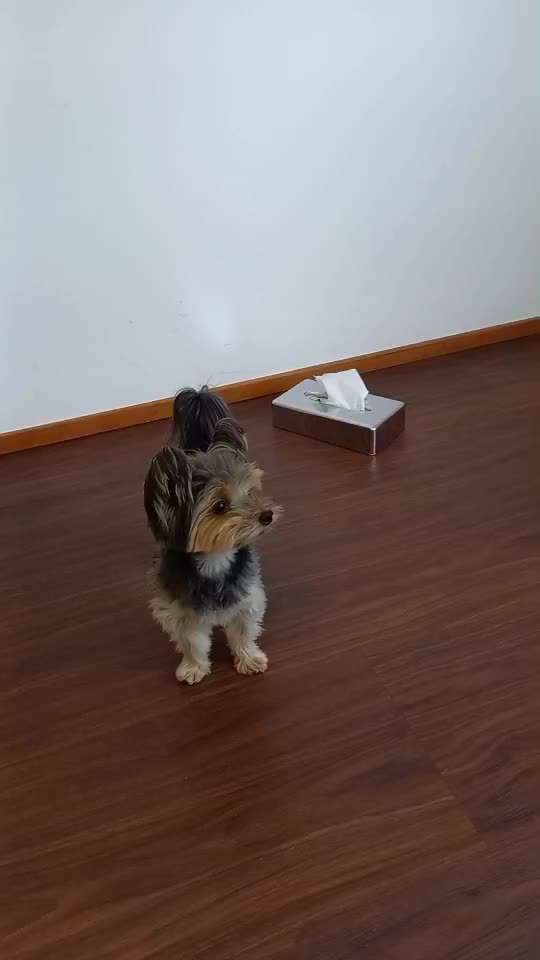 48. Papiertücher ziehen und bringen-Beitrag-Bild