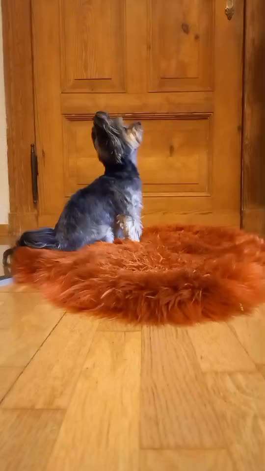 Trick Challenge - ich packe meinen Koffer-Beitrag-Bild