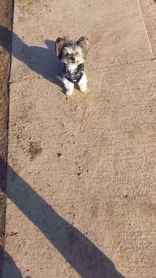 47. Rückwärts Einparken-Beitrag-Bild