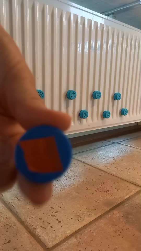 96. Gemeinsames Tricktraining : Anzeige verhalten-Beitrag-Bild