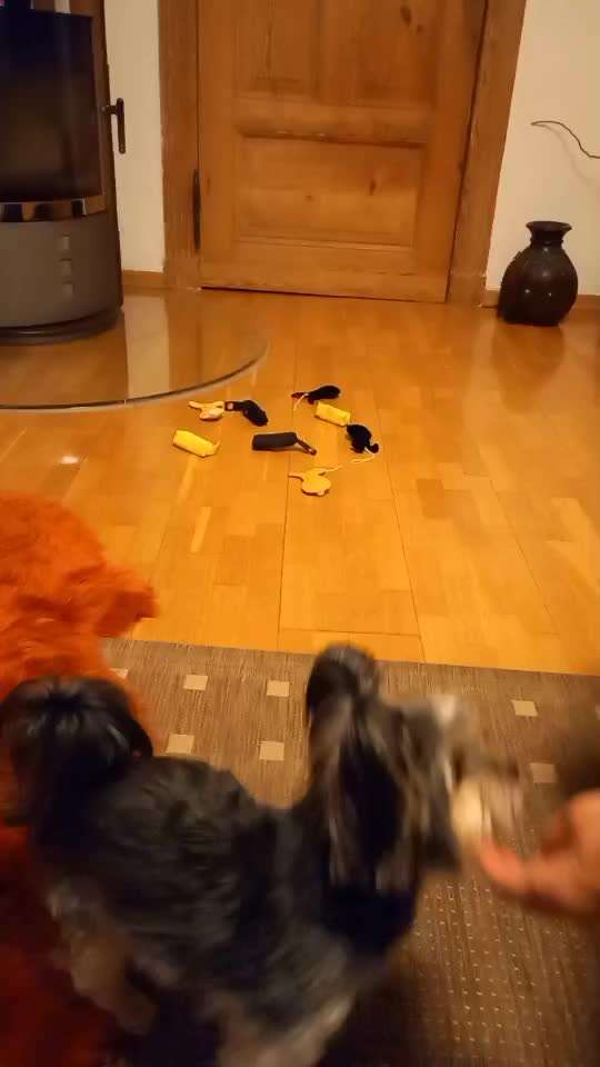 Farben lernen-Beitrag-Bild